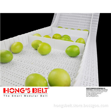 The Fruit Industry Modular Conveyor Belt (HS-200B)